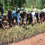 ????????????????????????????????????